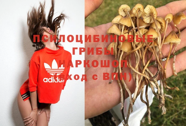 бошки Зеленодольск
