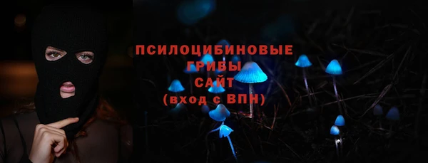бошки Зеленодольск