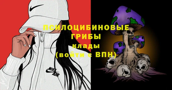 бошки Зеленодольск
